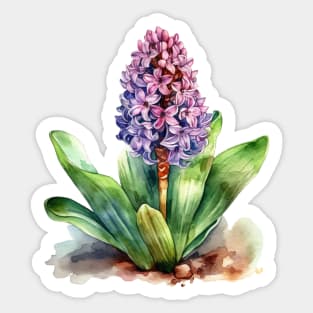 Stunning Hyacinth Sticker